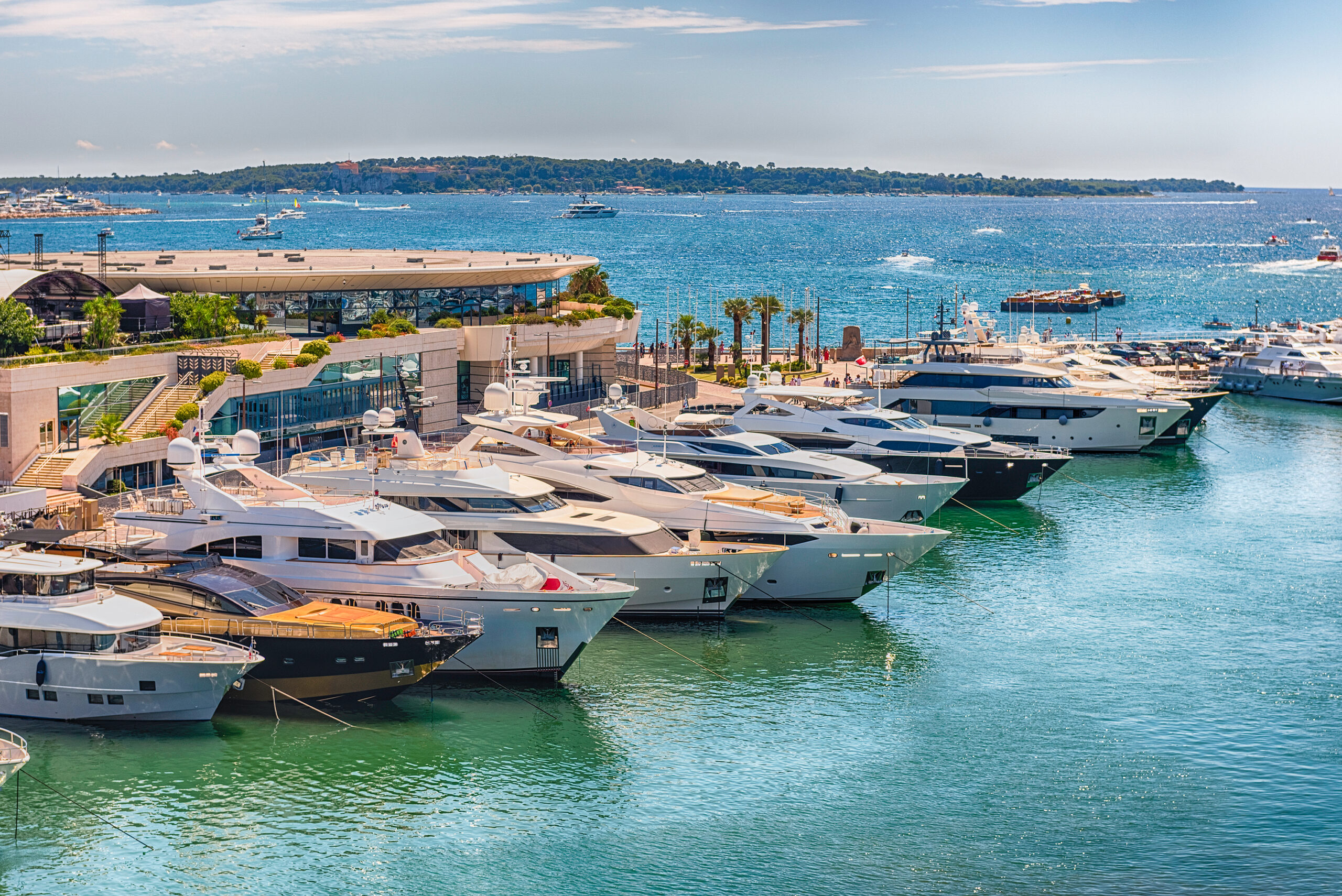 yacht festival in cannes